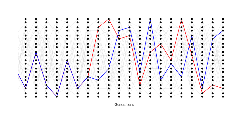 A simple simulation of the coalescent process. The simulation consists of a diploid population of 10 individuals (20 alleles). In each generation, each individual is equally likely to be the parent of an offspring (and the allele transmitted is indicated by a light grey line). We track a pair of alleles, chosen in the present day, back 14 generations untill they find a common ancestor.