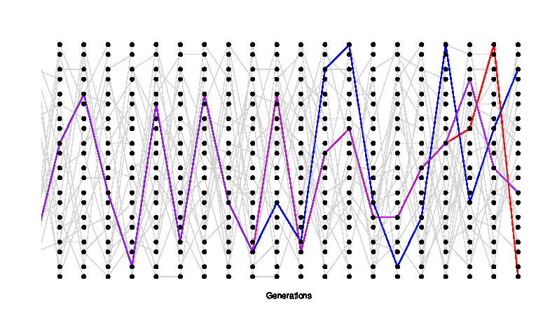A simple simulation of the coalescent process for three lineages. We track the ancestry of three modern-day alleles, the first pair (blue and purple) coalesce four generations back their are then two independent lineages we are tracking, this pair then coalesces twelve generations in the past. Note that different random realizations of this process will differ from each other a lot.