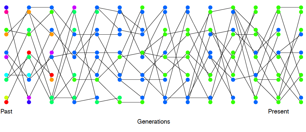 Loss of heterozygosity over time, in the absence of new mutations. A diploid population of 5 individuals. In the first generation I colour every allele a different colour so we can track their descendants.