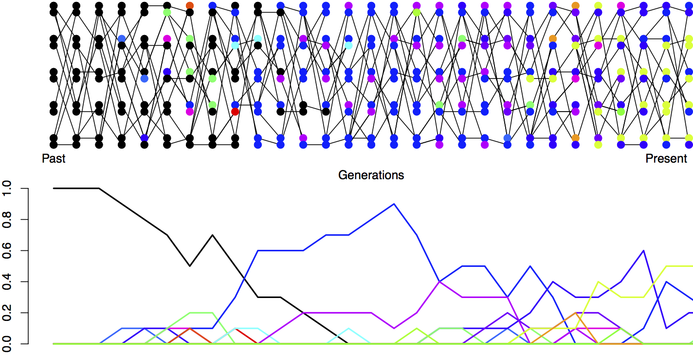 Mutation-drift balance. A diploid population of 5 individuals. In the first generation everyone has the same allele (black). Each generation the transmitted allele can mutate and we generate a new colour. In the bottom plot I trace the frequency of alleles in our population over time.