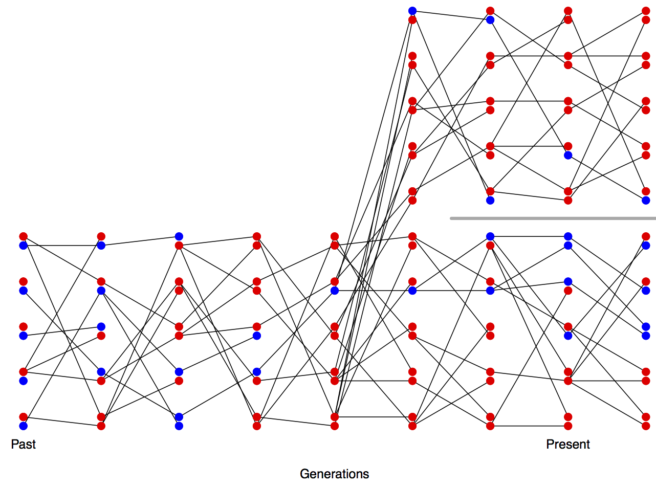 Change in allele frequencies following a population split.